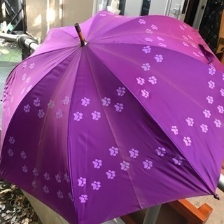 猫の傘