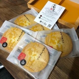 北海道お菓子/蔵生チョコサブレ
