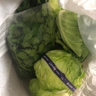 新鮮地場野菜