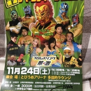 プロレスチケット 明日11/24開催  2枚