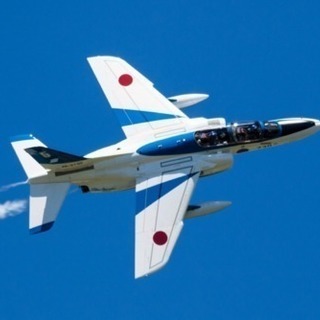 11月25日浜松基地航空祭に行く人いませんか？