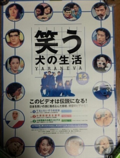 非売品 笑う犬の生活 ビデオ 販促ポスター Xxbgk4 神戸の生活雑貨の中古あげます 譲ります ジモティーで不用品の処分