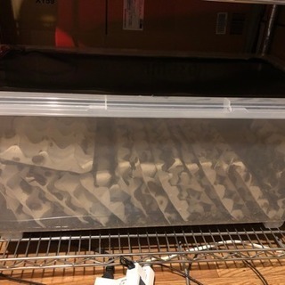 デュビア 約5キロ 全サイズMIX ケースごと おまけ付き