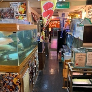 店内の熱帯魚、水槽、関連商品