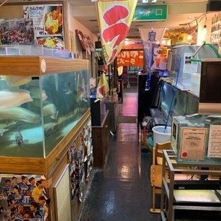 店内の熱帯魚、水槽、関連商品 注文 