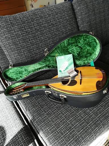 鈴木マンドリンM-30　ケース付き