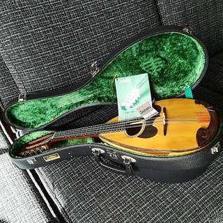 鈴木マンドリンM-30 ケース付き