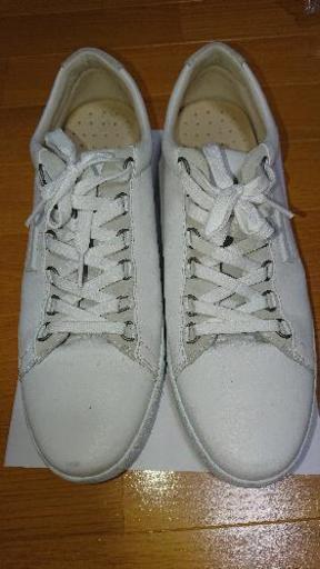 DOLCE\u0026GABBANAスニーカー