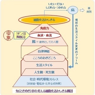 ラドン浴＆陶板浴で、細胞活性、血液サラサラ、体温上昇！ - ボディケア