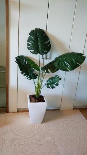フェイクグリーン 観葉植物 年内処分 卵さん 海浜幕張のインテリア雑貨 小物 その他 の中古あげます 譲ります ジモティーで不用品の処分