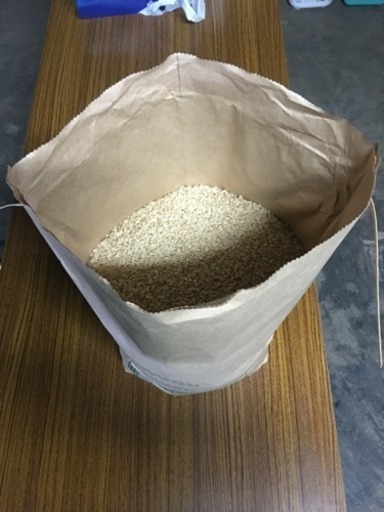 玄米30kg 栃木県産コシヒカリ
