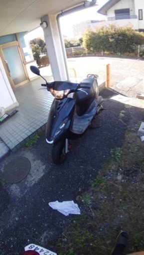 スーナー100売ります！