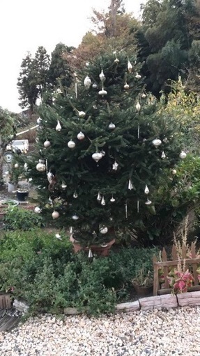 高級ドイツトウヒクリスマスツリー 2メートル