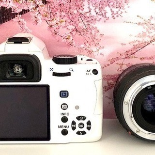ライブビュー&動画搭載⭐︎超かわいいスノーホワイト⭐︎PENTAX k-r