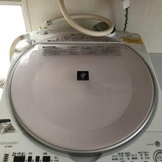 SHARP 洗濯機 8kg