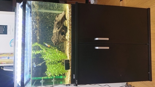 60cm水槽フルセット　お買い得【購入時価格５万以上】