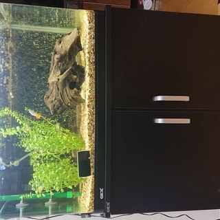 60cm水槽フルセット　お買い得【購入時価格５万以上】