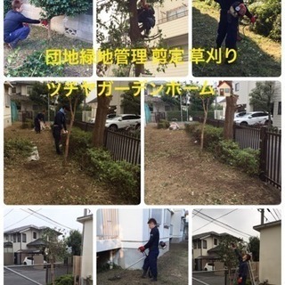 アパート マンションの植栽管理致します 庭の手入れ店【所沢市 狭山市さいたま市入間市飯能市〜】 - 所沢市