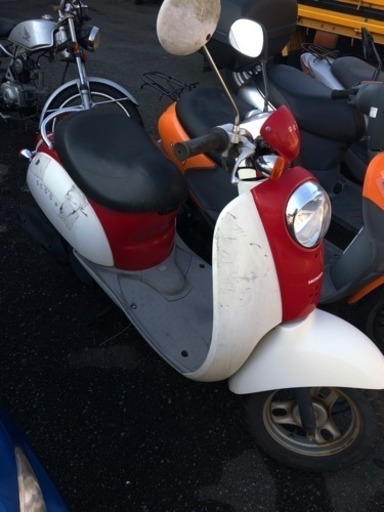 HONDA スクーピー AF55 不動 福岡市南区 【公式通販】