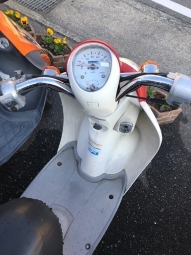 HONDA スクーピー AF55 不動 福岡市南区 【公式通販】