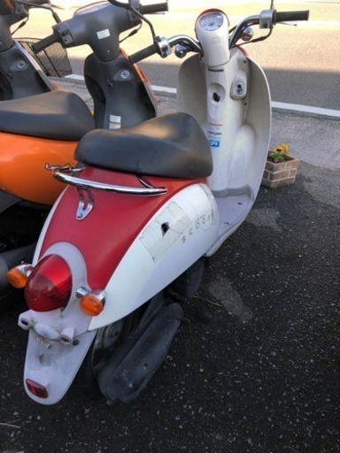 HONDA スクーピー AF55 不動 福岡市南区 【公式通販】