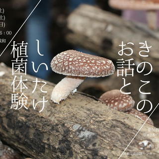 【温泉入浴券付き】きのこのお話としいたけ植菌体験【湯来交流体験センター】の画像