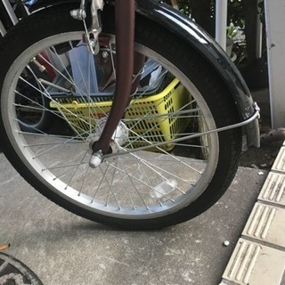 スィートリブ20インチ