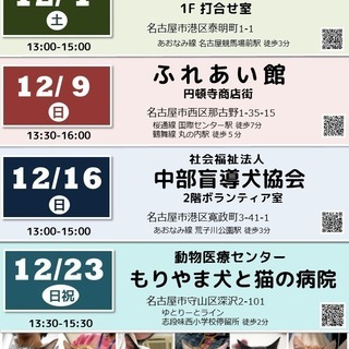 12月16日(日) 猫の譲渡会 名古屋市港区 社会福祉法人 中部盲導犬協会　みなと猫の会 主催 - イベント