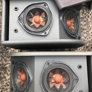 BOSE 300PM 左右セット 動作確認済