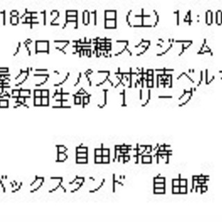 ☆急募 12/1(土)名古屋グランパスvs湘南ベルマーレ ペアチケット