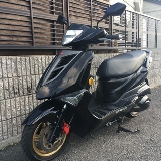 PGO ティグラ150‼️極上美車‼️希少車両‼️