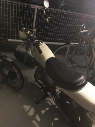エイプ50cc