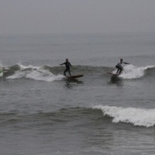 サーフィン 同好会 結成🌊🏄‍♂️🏄‍♀️🌊