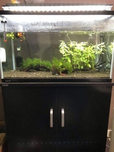 60cm水槽、60cm用キャビネット