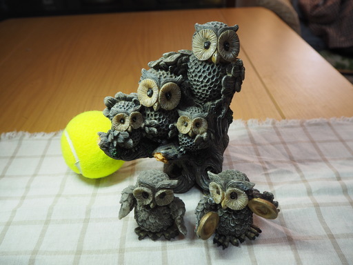 フクロウのコレクション（11）ロマンスグレーなフクロウ達
