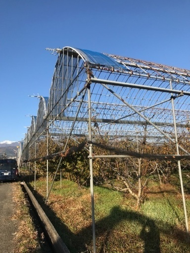 中古雨除けハウス部材一式