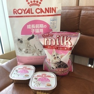 子猫飼育 餌