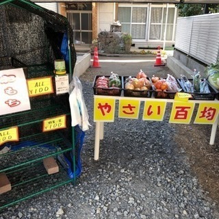 野菜販売100円市♪♪