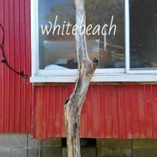 直接受けとり可能・流木220㎝