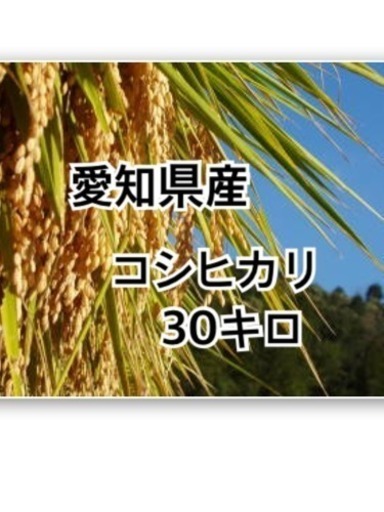 沢山の方に買っていただき感謝します❤️また11月に❤️