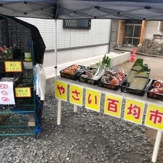 新鮮野菜100円市