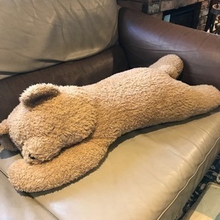 クマの抱き枕