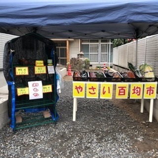新鮮野菜100円市♪♪