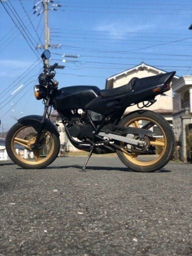 希少！NS50F