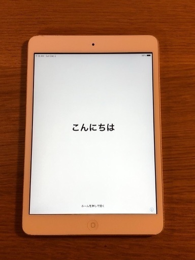 iPad iPad mini2 16GB