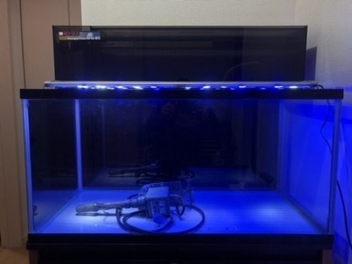 お取引中┏○ﾍﾟｺ900×450×450 水槽セット フィルターはレイシー