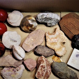 化石・鉱物標本色々　2.3㎏　レッドジャスパー玉・ハマグリ化石・...