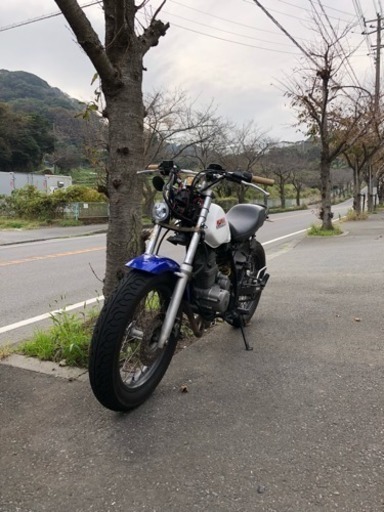 FTR223  自賠責付き プチカスタム