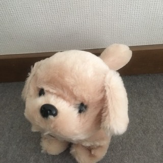 犬 オモチャ【美品】