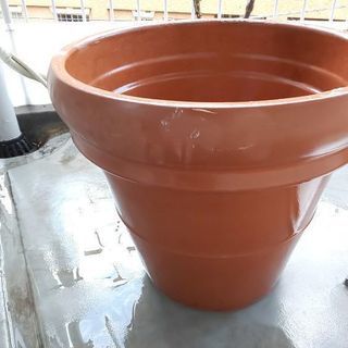 イタリア製 テラコッタ植木鉢。美しいシルエット。短期間使用しまし...